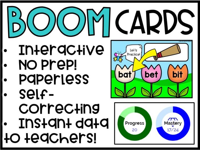Boom Cards: Getting Started!