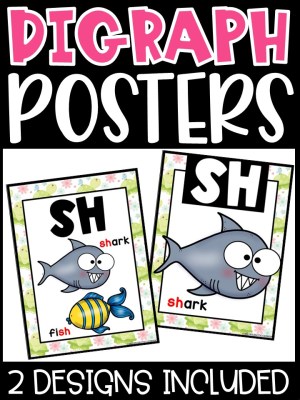 Turtle 2 Digraph Posters - Sound Wall Digraphs