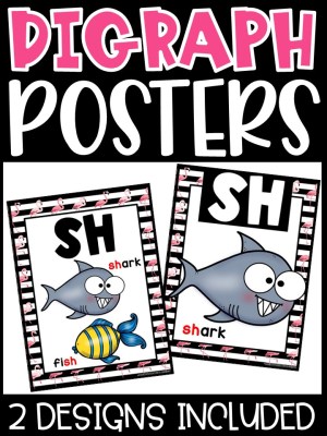 Tropical Flamingo 2 Digraph Posters - Sound Wall Digraphs