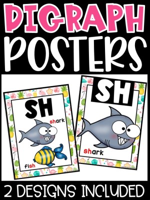 Tropical Flamingo Digraph Posters - Sound Wall Digraphs