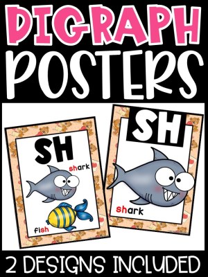 Teddy Bear Digraph Posters - Sound Wall Digraphs