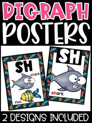 Space 3 Digraph Posters - Sound Wall Digraphs