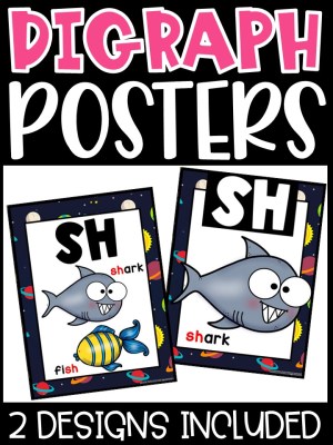 Space 1 Digraph Posters - Sound Wall Digraphs