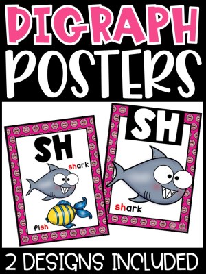 Sock Monkey Digraph Posters - Sound Wall Digraphs
