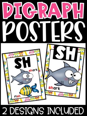 School Owls Digraph Posters - Sound Wall Digraphs
