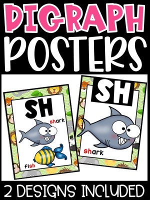 Safari 3 Digraph Posters - Sound Wall Digraphs