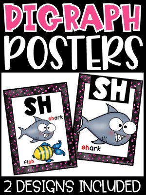 Black and Pink Digraph Posters - Sound Wall Digraphs