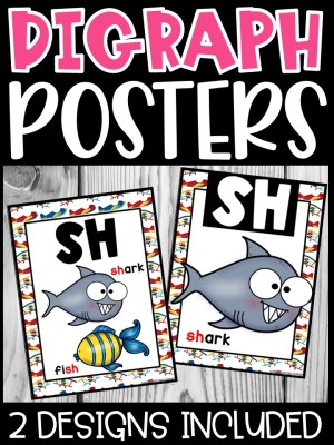 Airplane Digraph Posters - Sound Wall Digraphs