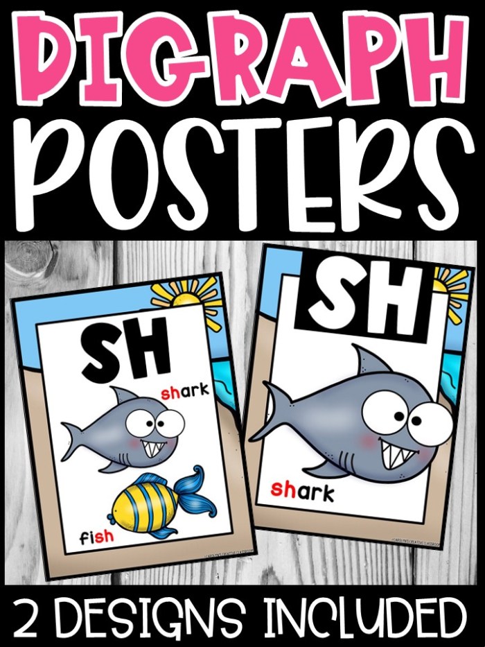 Rainbow 3 Digraph Posters – Sound Wall Digraphs – Carolyn's Creative ...