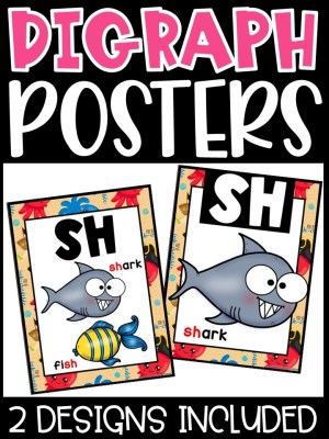 Pirate 2 Digraph Posters - Sound Wall Digraphs