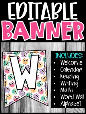 Editable Classroom Banners - Match Your Classroom Theme [Owls]