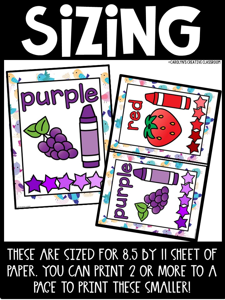 Birds 2 Color Posters | Classroom Decor - Image 2