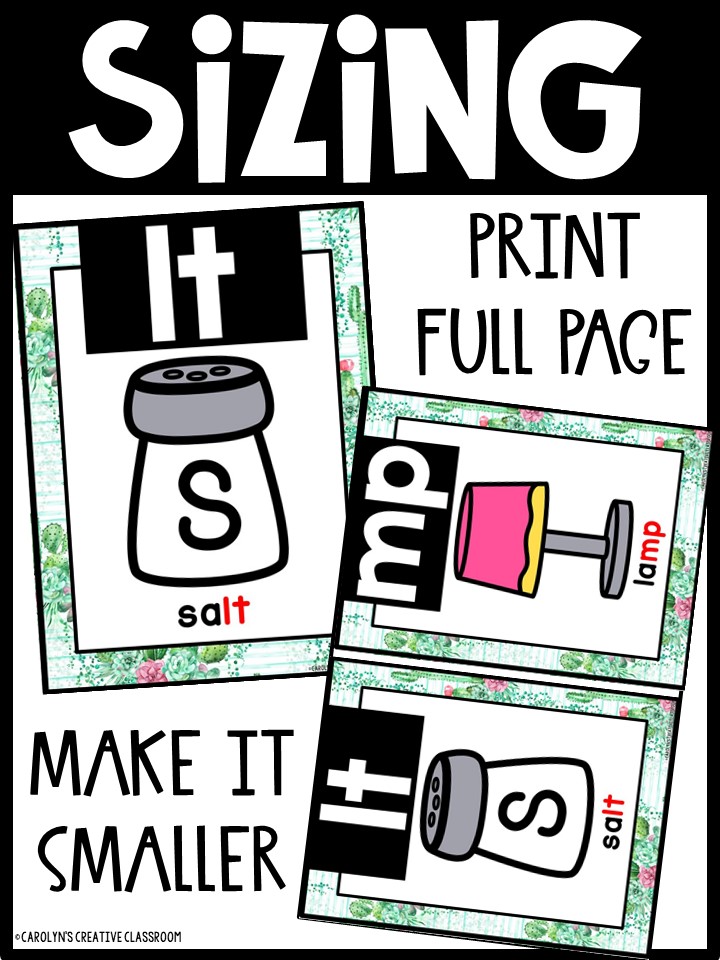 Cactus 2 Blends Posters - Sound Wall Blends - Image 3