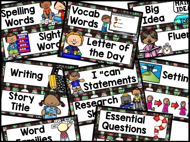 Cactus 1 Reading Focus Wall and Banner