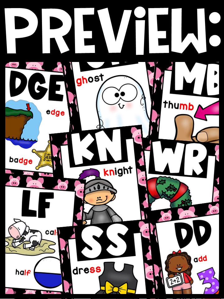 Pigs 2 Digraph Posters - Sound Wall Digraphs - Image 3