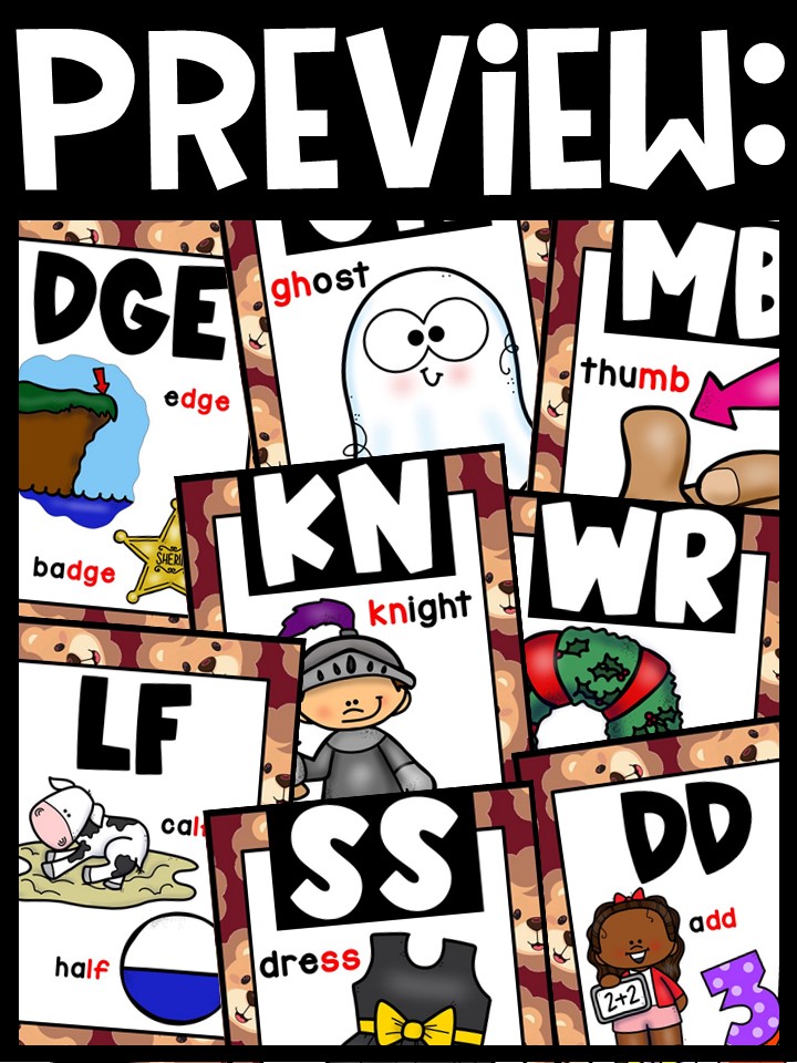 Lion 5 Digraph Posters - Sound Wall Digraphs - Image 3