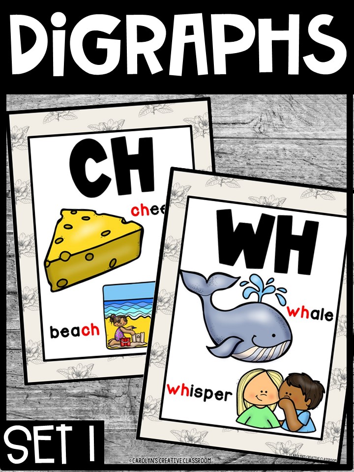 Vintage Farmhouse Digraph Posters - Sound Wall Digraphs - Image 4