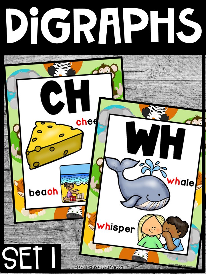 Safari 1 Digraph Posters - Sound Wall Digraphs - Image 4