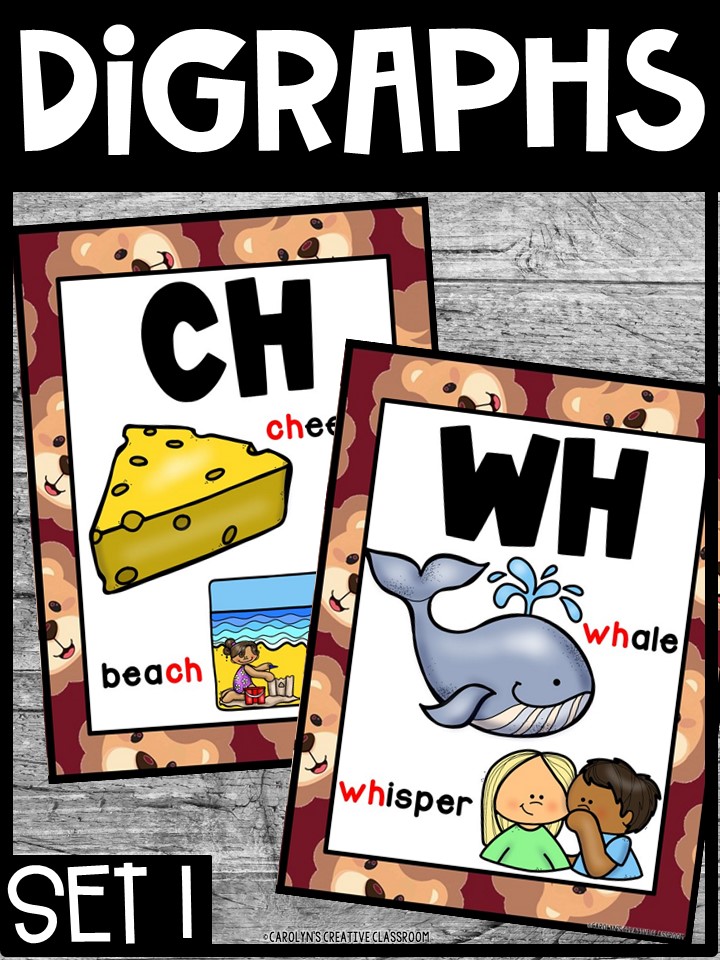 Lion 5 Digraph Posters - Sound Wall Digraphs - Image 4