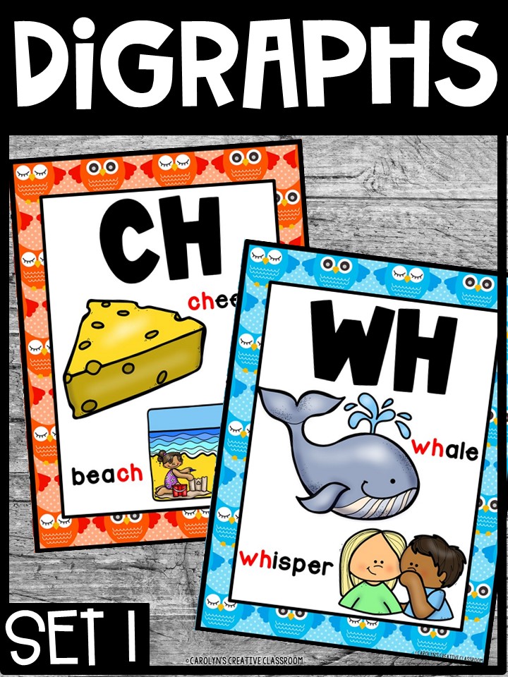 Colorful Owls Digraph Posters - Sound Wall Digraphs - Image 4