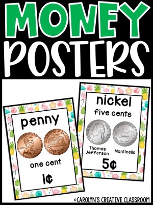 US Money Posters - Coin and Dollar Posters | Tropical Flamingo 1 Classroom Decor