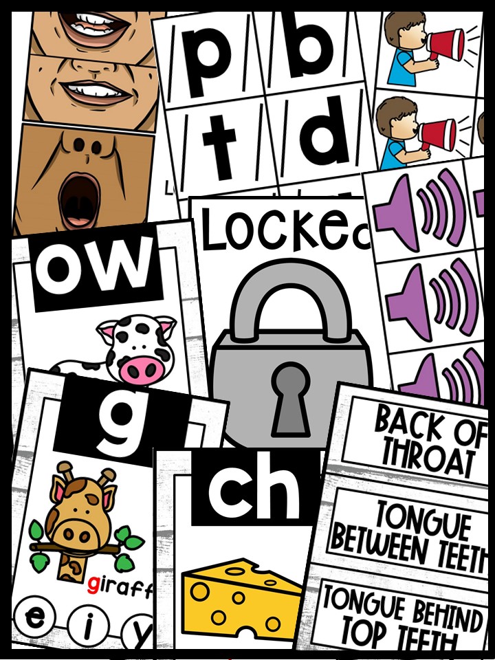 Sound Wall - Phoneme with Mouth Examples (Country Chic Theme) - Image 5