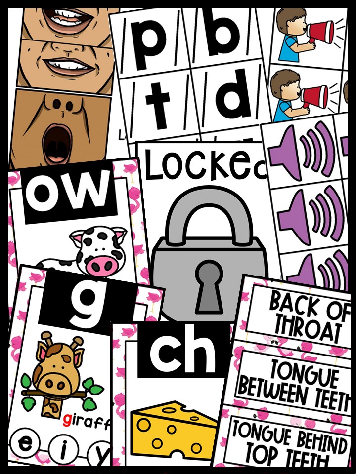 Sound Wall - Phoneme with Mouth Examples (Flamingo 3 Theme) - Image 5