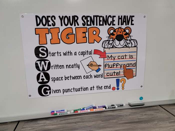 Does your Sentence have Tiger Swag? Anchor Chart [Hard Good]