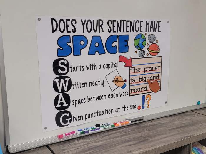 Does your Sentence have Space Swag? Anchor Chart [Hard Good]