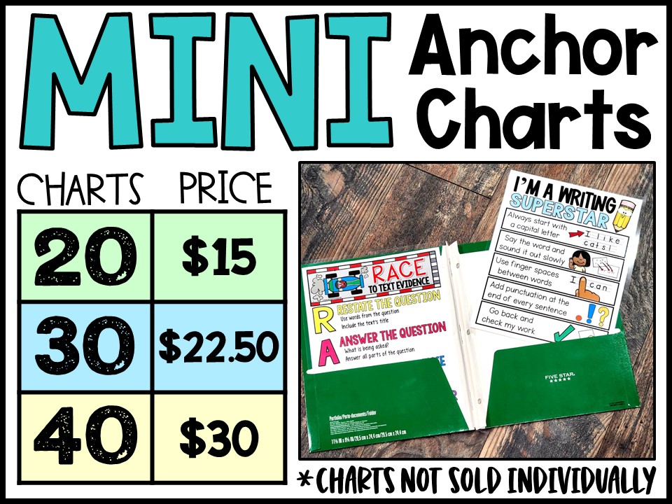 Mini Anchor Charts