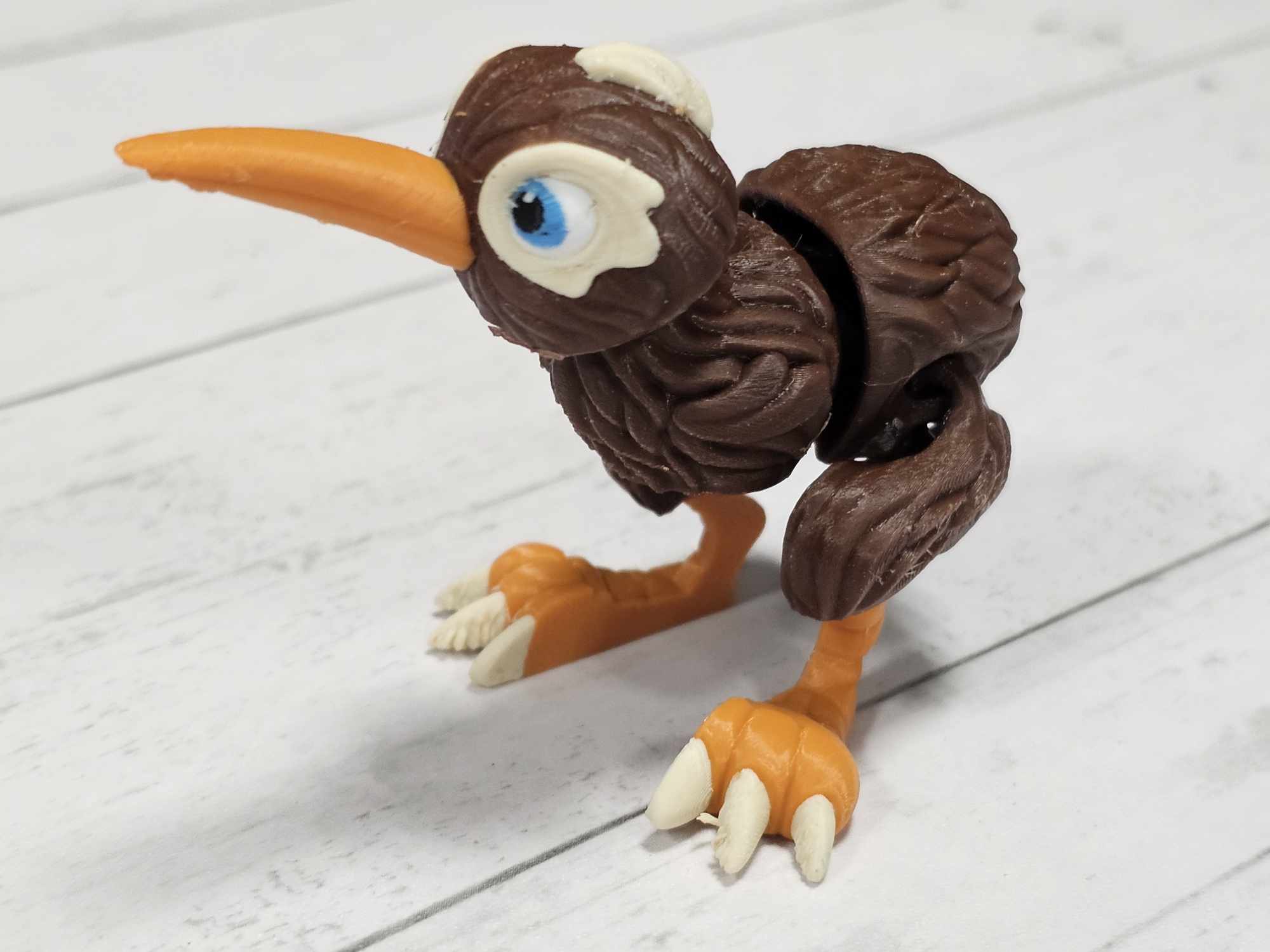 Carolyn's Classroom Critters: Kiwi Bird