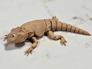 Carolyn's Classroom Critters: Bearded Dragon