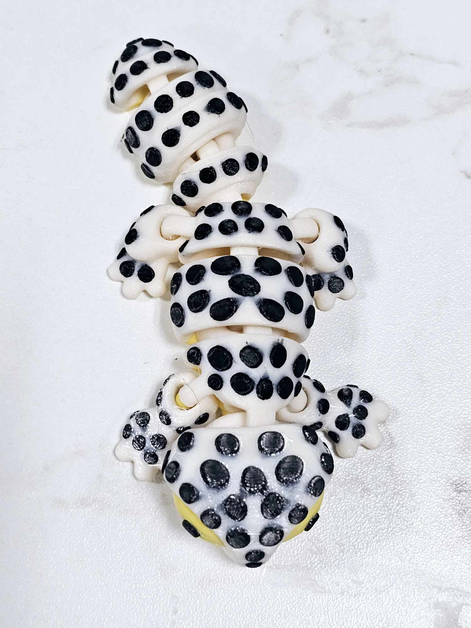 Carolyn's Classroom Critters: Leopard Gecko - Image 3