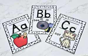 Decor: Printed & Laminated - Alphabet Posters