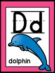 dolphin +$1.00