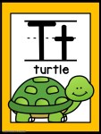 turtle +$1.00
