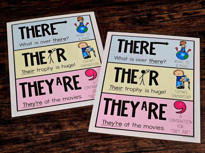 MINI Anchor Charts: their, there, they’re – Option #2