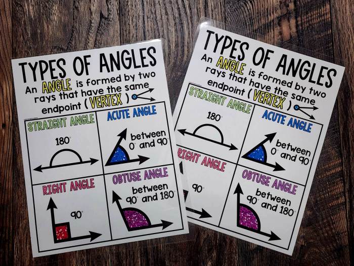 MINI Anchor Charts: Types of Angles #1