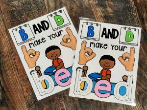 MINI Anchor Charts: B & D #1