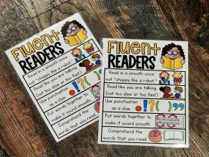MINI Anchor Charts: Fluent Readers