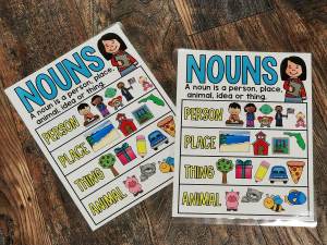 MINI Anchor Charts: Noun #3