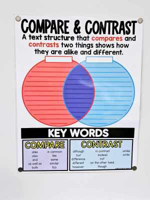 Compare and Contrast Anchor Chart [Hard Good] - Option #2 with lines