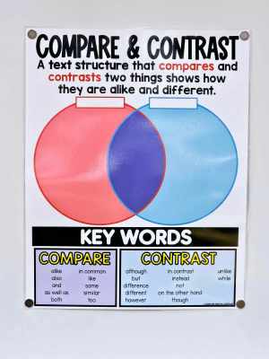 Compare and Contrast Anchor Chart [Hard Good] - Option #1