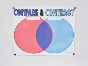 Compare and Contrast Anchor Chart [Hard Good] - Option #4