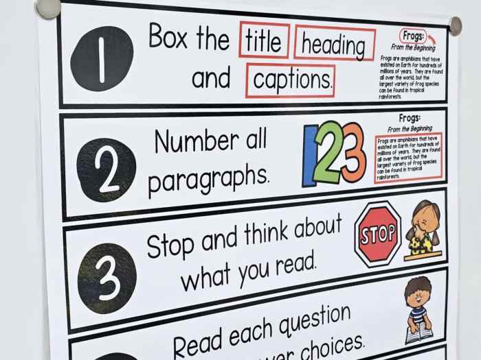 7 Steps to Reading Success Anchor Chart [Hard Good] – Option #2