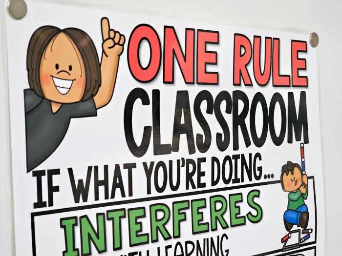 One Rule Classroom Anchor Chart [Hard Good] – Option #1