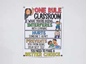 One Rule Classroom Anchor Chart [Hard Good] - Option #1
