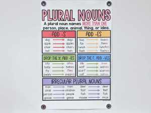 Plural Nouns Anchor Chart [Hard Good] - Option 2 (no pictures)
