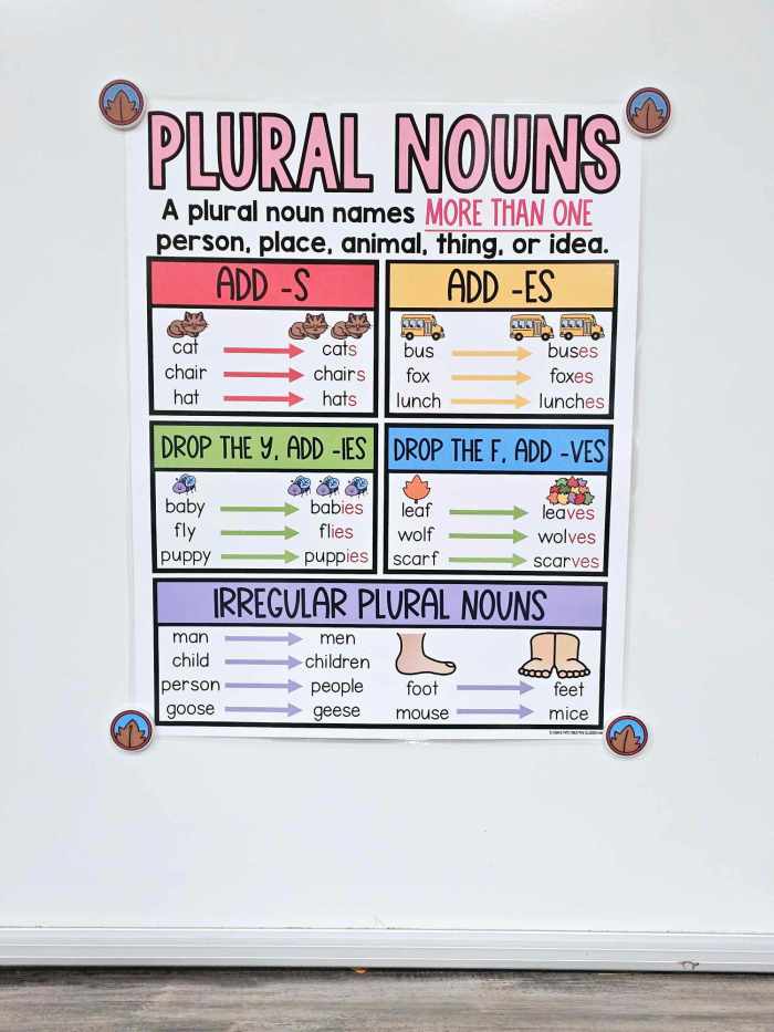 Plural Nouns Anchor Chart [Hard Good] – Option 1 (with pictures)