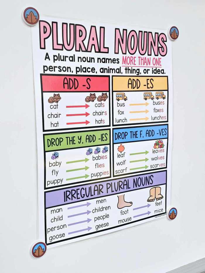 Plural Nouns Anchor Chart [Hard Good] – Option 1 (with pictures)